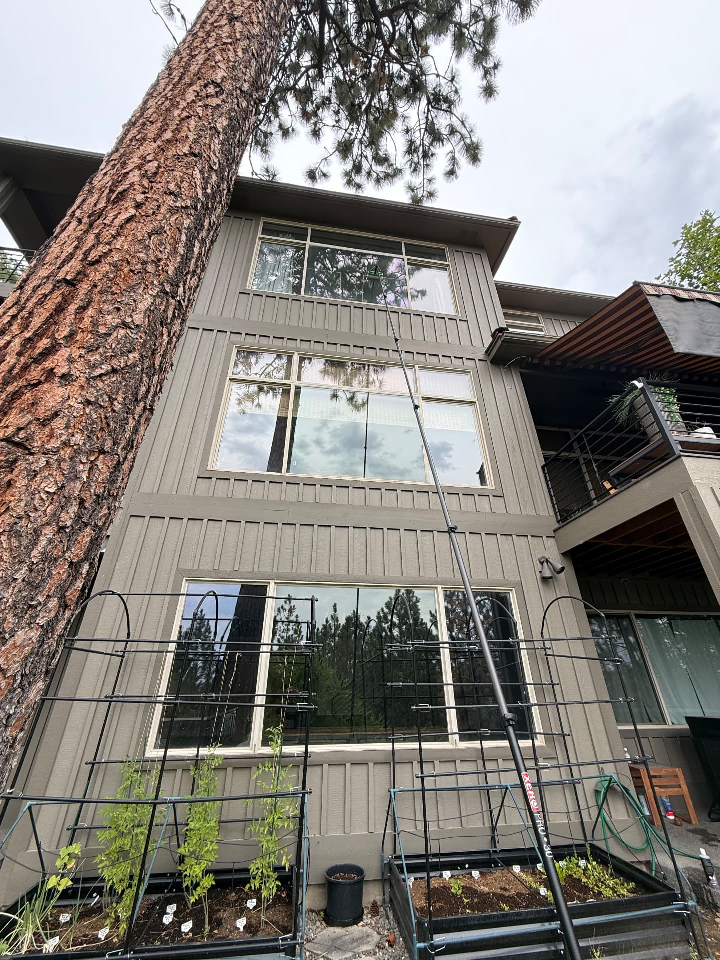 Three-story home windows being cleaned from the ground with an extension pole